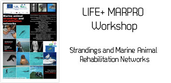 Workshop MarPro: Stranding and Marine Animal Rehabilitation Networks