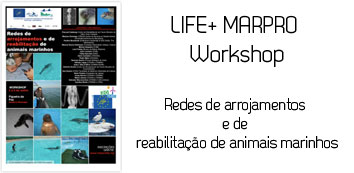Workshop MarPro: Redes de arrojamentos e de reabilitação de animais marinhos