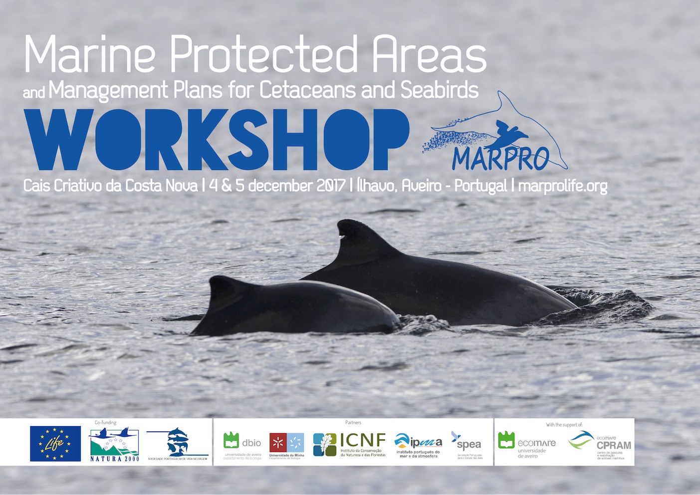 Poster LIFE+ MarPro Workshop 2017: Marine Protected Areas and Management Plans for Cetaceans and Seabirds